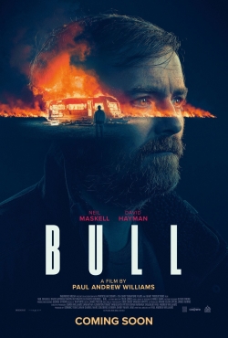 watch Bull movies free online