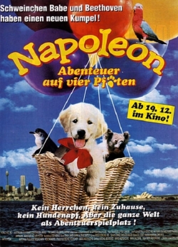 watch Napoleon movies free online