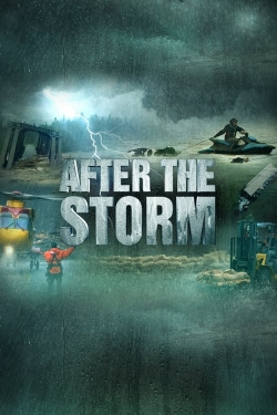 watch After the Storm movies free online