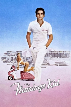 watch The Flamingo Kid movies free online