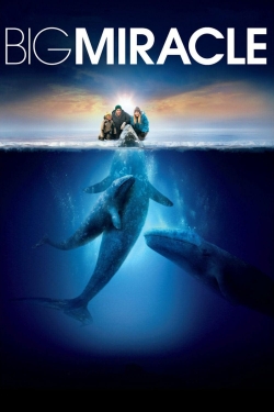 watch Big Miracle movies free online