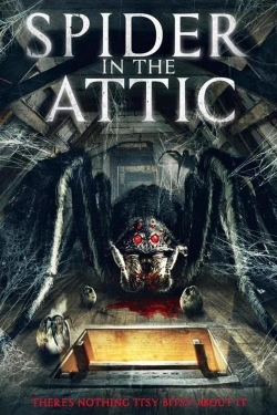 watch Spider in the Attic movies free online