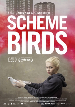 watch Scheme Birds movies free online