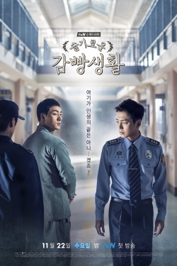 watch Prison Playbook movies free online