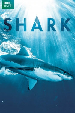 watch Shark movies free online