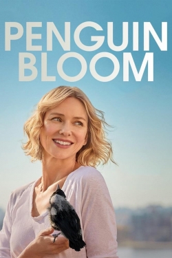 watch Penguin Bloom movies free online