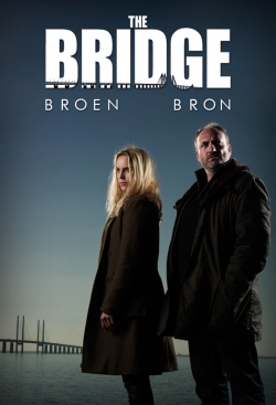 watch The Bridge movies free online