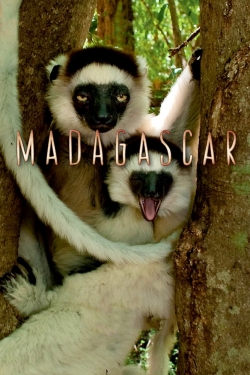 watch Madagascar movies free online