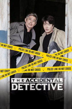 watch The Accidental Detective movies free online