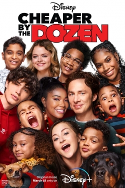 watch Cheaper by the Dozen movies free online