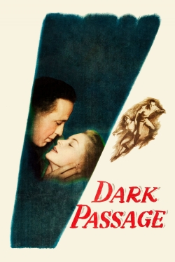 watch Dark Passage movies free online