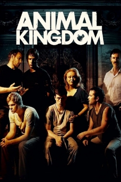 watch Animal Kingdom movies free online