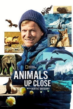 watch Animals Up Close with Bertie Gregory movies free online