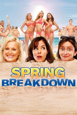 watch Spring Breakdown movies free online