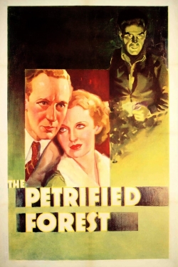 watch The Petrified Forest movies free online